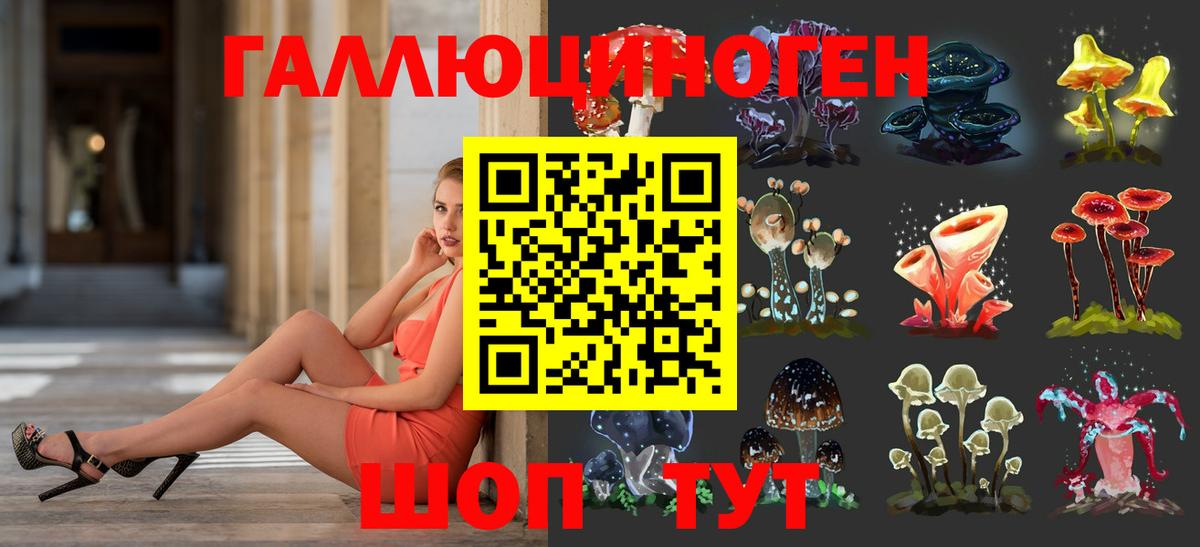 Галлюциногенные грибы мухоморы Ачинск