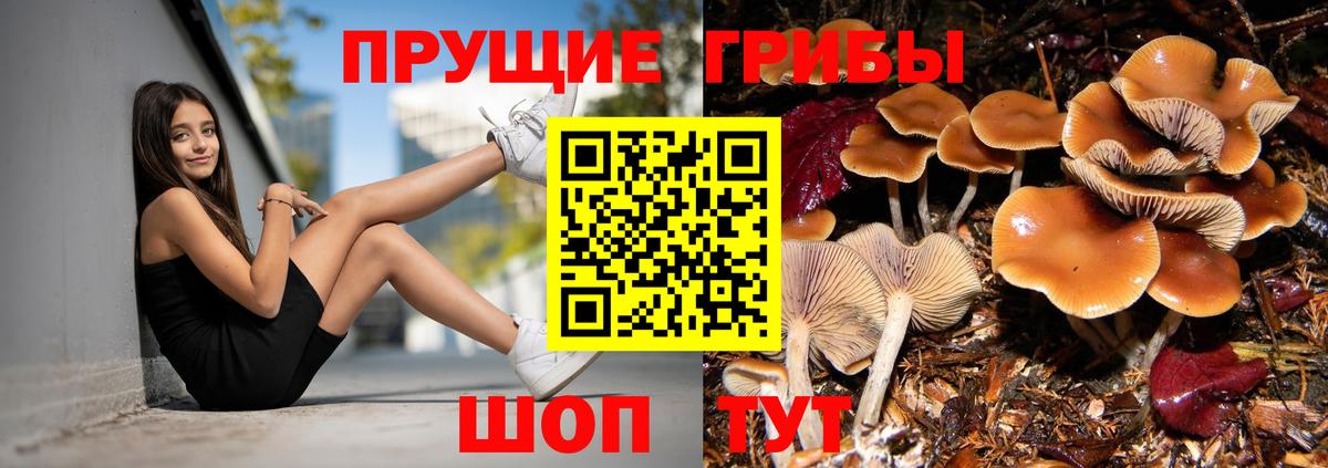 Ачинск  Галлюциногенные грибы мицелий  Вход с VPN 